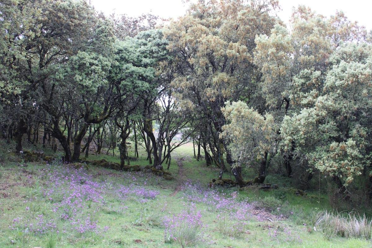 Отель Quinta Da Devesa -B2 Виньяйш Экстерьер фото